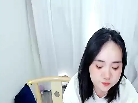 P999933 webcam