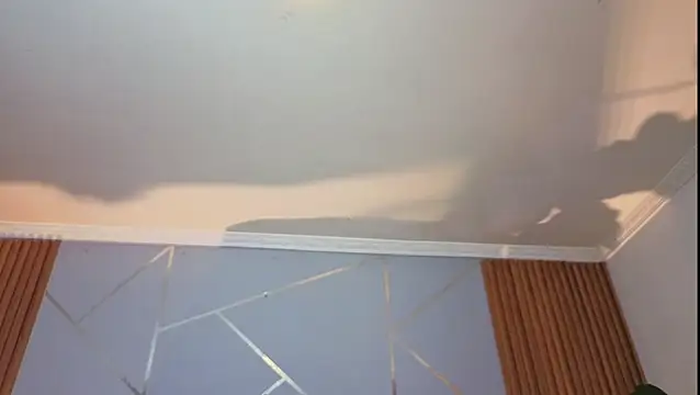 Megxnn webcam