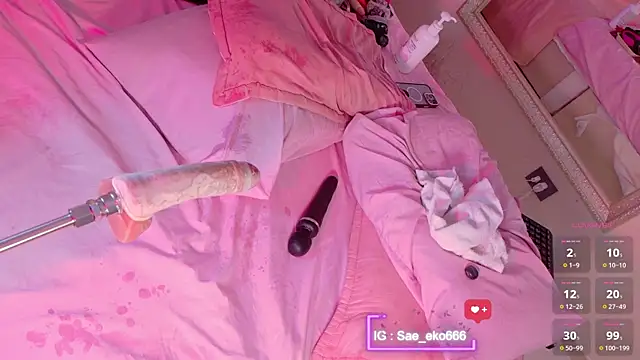 Saekohofman webcam
