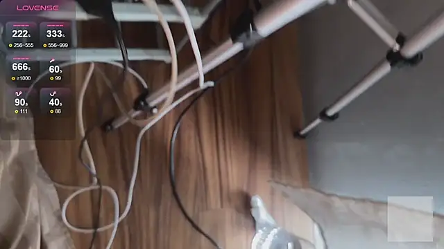 sadetuiningaa webcam