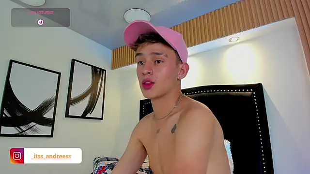 LiamWildx20 webcam