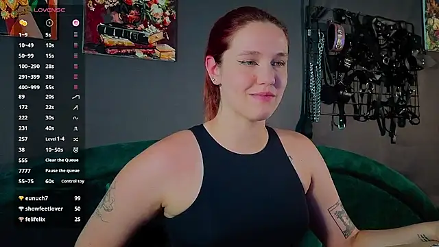 Serve_to_Alexa webcam