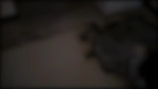 Even_Vrot webcam