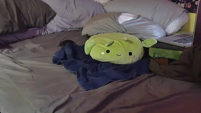 LordSpunFun webcam