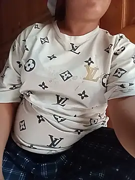Ip34 webcam