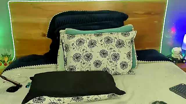 Prometeo-grizzly webcam