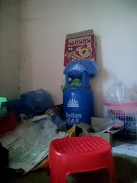 -Tara-a webcam