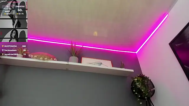 Abbyy_stone webcam