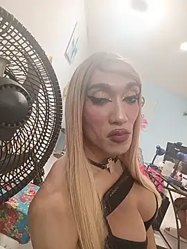 karlaveckyts webcam