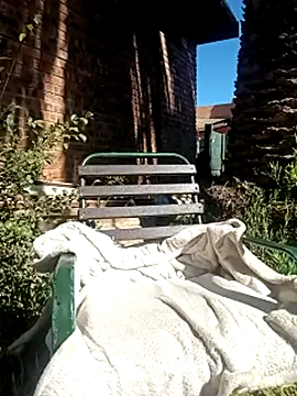 DarkQueen_94 webcam