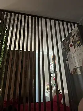 LittleFox___ webcam