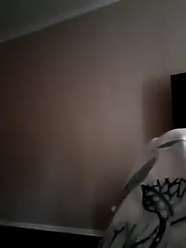 NiceBadgera webcam