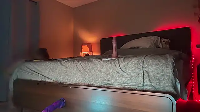 Antnjon webcam