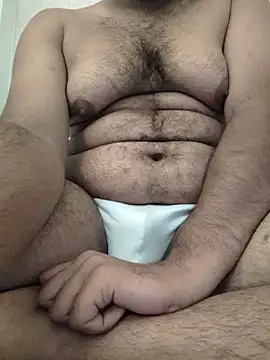 Pure_Sin_Abs webcam