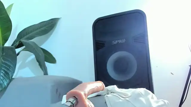 DakotaStills_ webcam