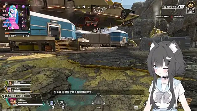 Fatis-Rin-Meow webcam