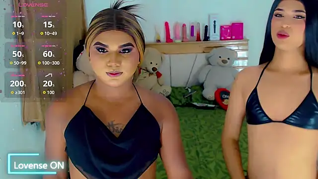 party_duo_trans webcam