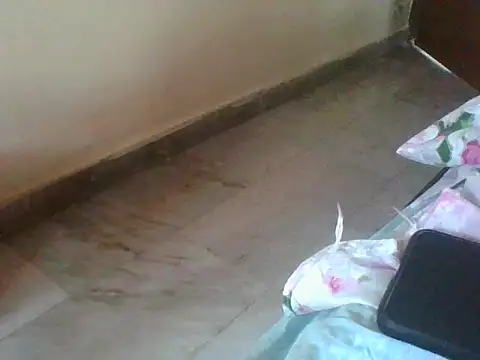 nbolla1 webcam