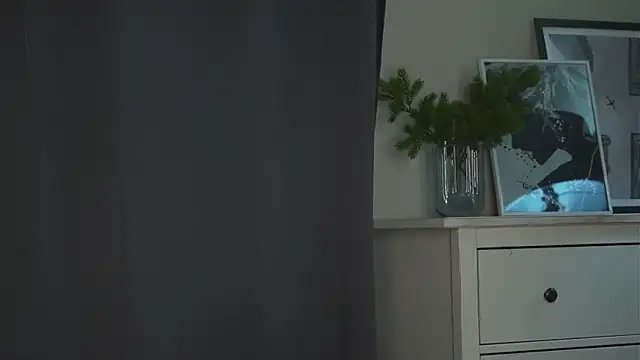 akumadadrive webcam