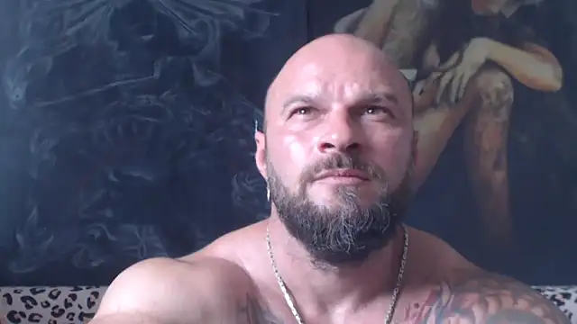 viking_30 webcam