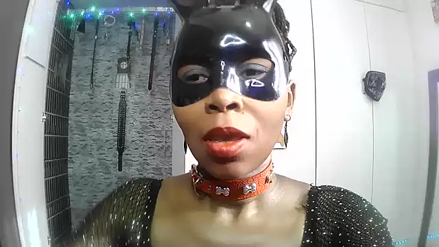 BaDSubMiss webcam