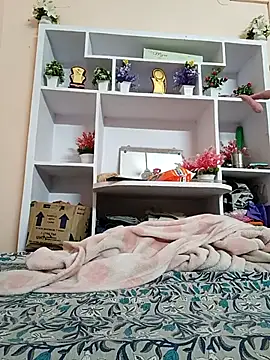 Hansikatelugu webcam