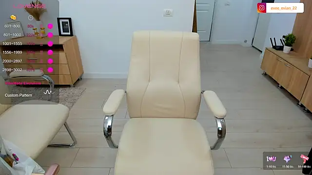 EveEvian webcam