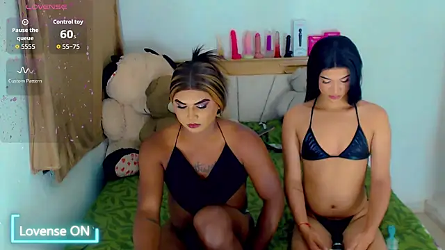 party_duo_trans webcam