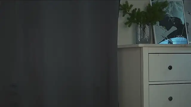 akumadadrive webcam