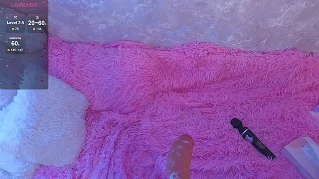 mirida_fox webcam