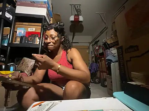 wynterheat webcam