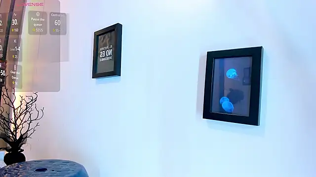 Pit_Ross webcam