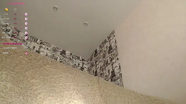 your_space webcam