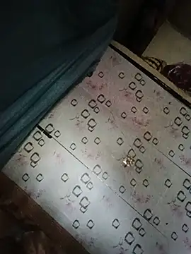 Sana-vn webcam