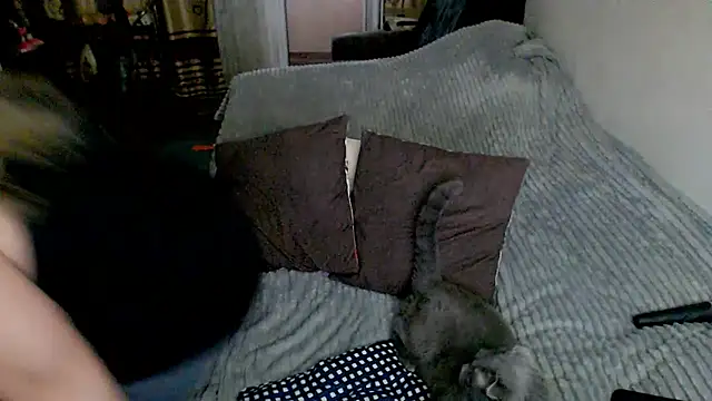 sex2 webcam