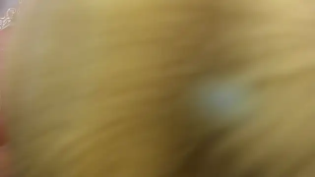 LiliThara webcam