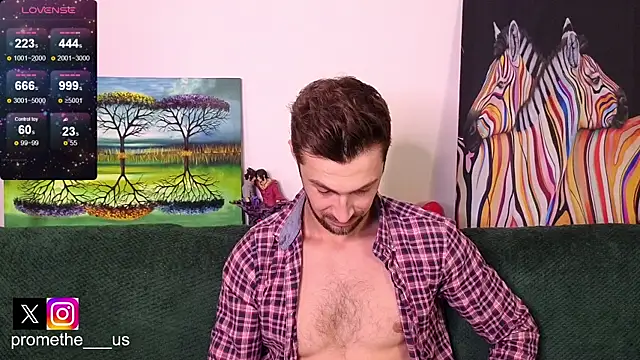 Promethe_us webcam
