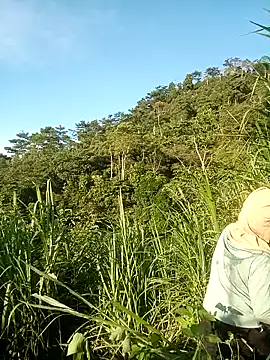 nangmo webcam