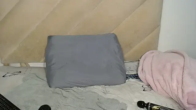 DidyBerry webcam