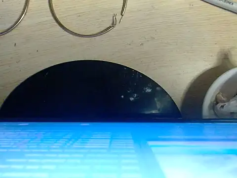 AshantTsiBigCock webcam