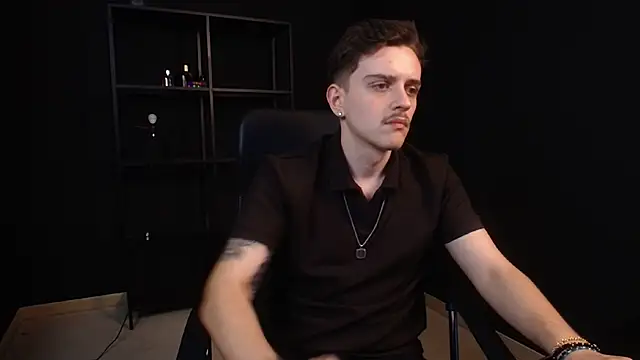 FelixStarkk webcam