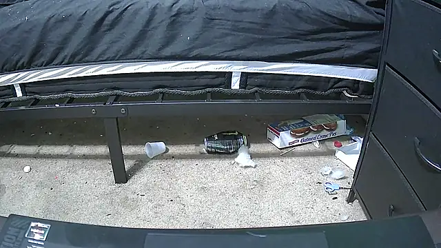 Crypticfreak505 webcam