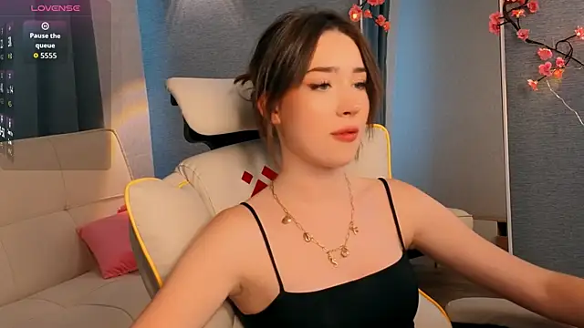 noonespyed webcam