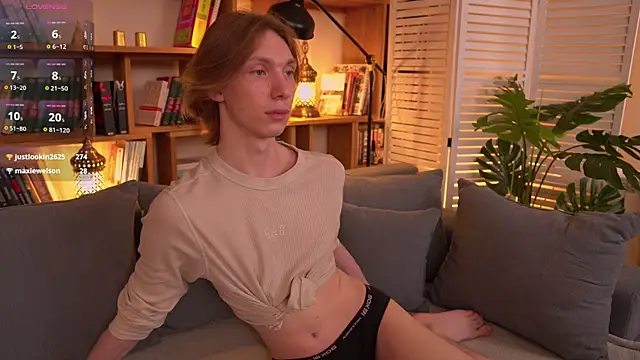Daniel_Schmidt webcam