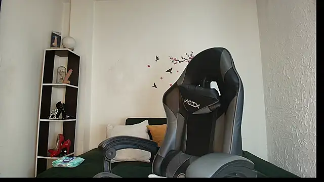 _Anais_Lanz webcam