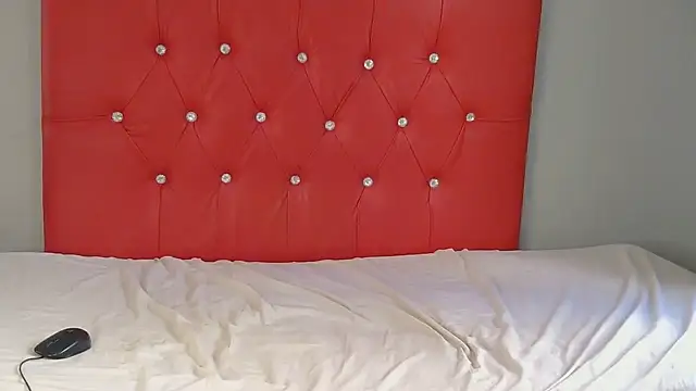 PoundBear webcam