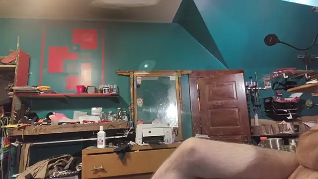 charactrzero webcam