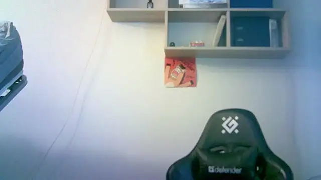 SirAbuser webcam