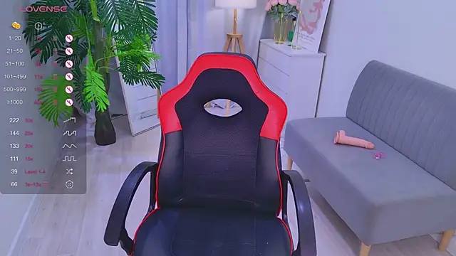 Mira_Falls webcam