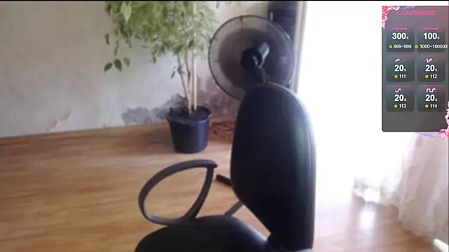 Victory80lvl webcam